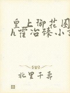 皇上御花园hlh霍冶臻小说