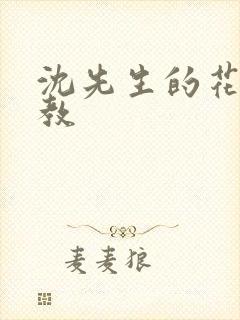 沈先生的花式管教