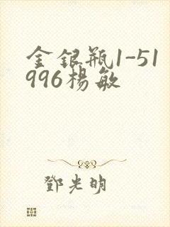 金银瓶1-51996杨敏封面