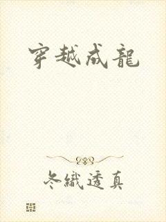 穿越成龙