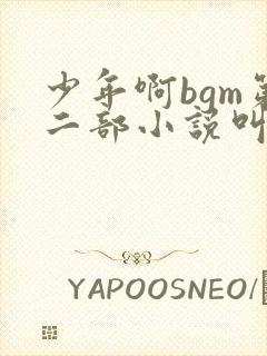 少年啊bgm第二部小说叫什么
