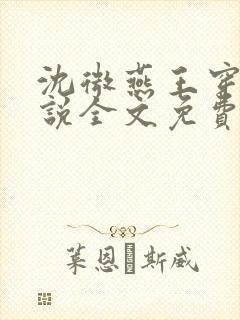 沈微燕王穿越小说全文免费阅读封面