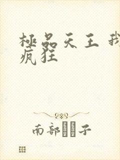 极品天王 我本疯狂