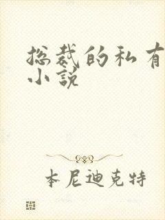 总裁的私有宝贝小说封面