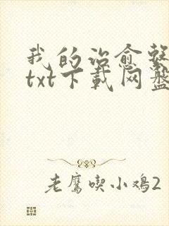 我的治愈系游戏txt下载网盘