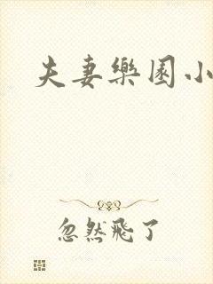 夫妻乐园小说封面