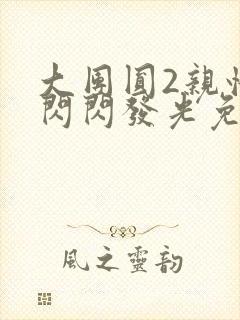 大团圆2亲情会闪闪发光免费