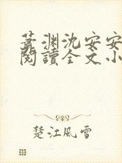 萧渊沈安安免费阅读全文小说