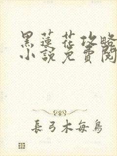 黑莲花攻略手册小说免费阅读全文封面