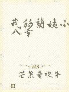 我的兰姨小说第八章