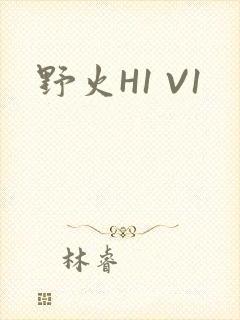野火H1 V1封面