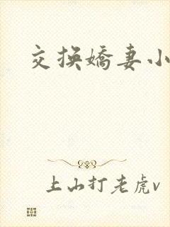 交换娇妻小说