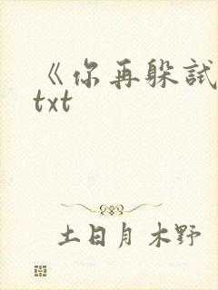 《你再躲试试》txt