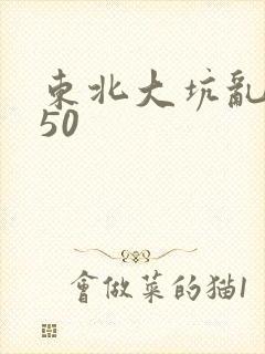 东北大坑乱1—50