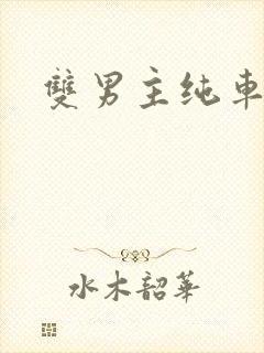 双男主纯车骨科