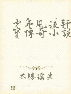 少年风流轩辕大宝传奇小说