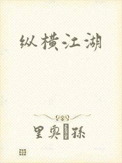 纵横江湖封面