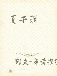 夏子渊封面