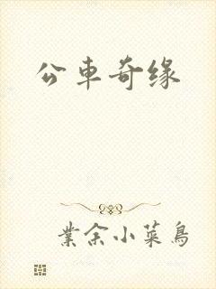 公车奇缘