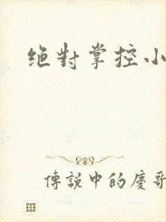 绝对掌控小说