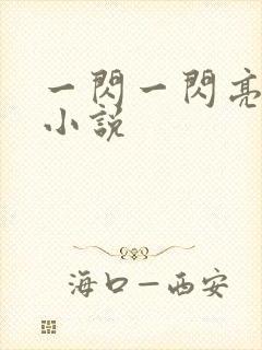 一闪一闪亮星星小说