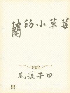 他的小草莓笔趣阁封面