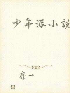 少年派小说