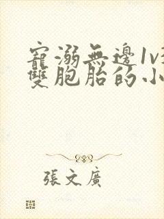 宠溺无边1v3双胞胎的小说