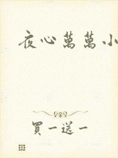 夜心万万小说
