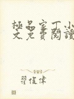 极品家丁小说全文免费阅读封面