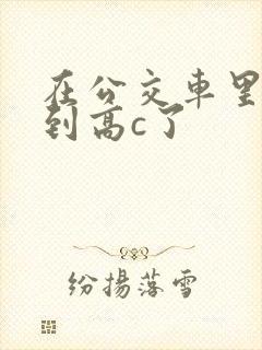 在公交车里c弄到高c了