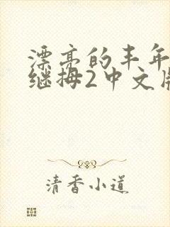漂亮的丰年经的继拇2中文版