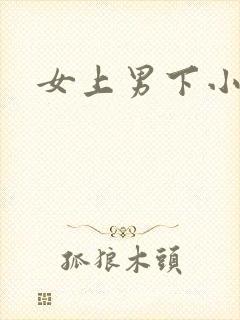 女上男下小说封面