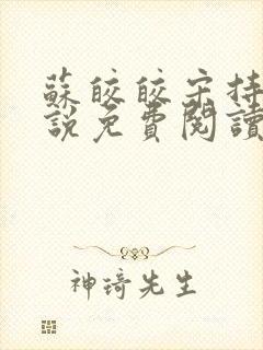 苏皎皎宋持的小说免费阅读封面