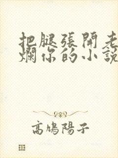 把腿张开老子臊烂你的小说