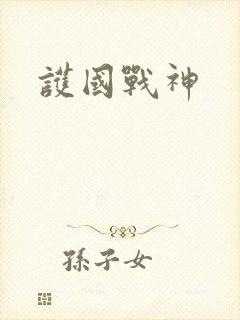 护国战神封面