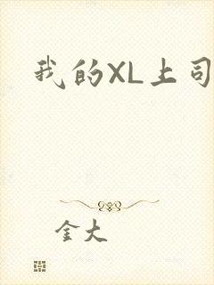我的XL上司封面