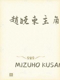 赵晓东主角小说