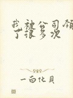 我被公司领导C了很多次