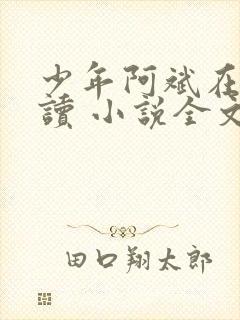 少年阿斌在线阅读 小说全文免费