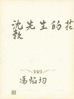 沈先生的花式调教