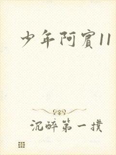 少年阿宾11封面