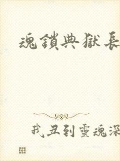 魂锁典狱长封面