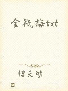 金瓶梅txt封面