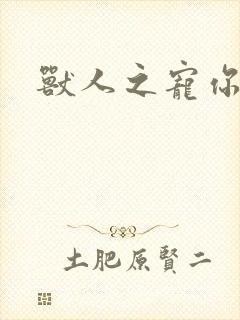 兽人之宠你为上