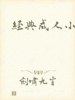 经典成人小说封面