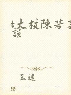 t大校陈若芸小说封面