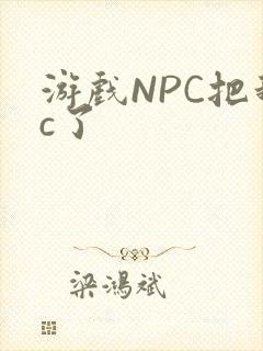 游戏NPC把我c了