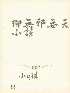 柳无邪吞天神鼎小说