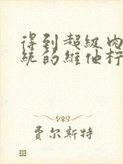 得到超级肉禽系统的维他柠檬茶